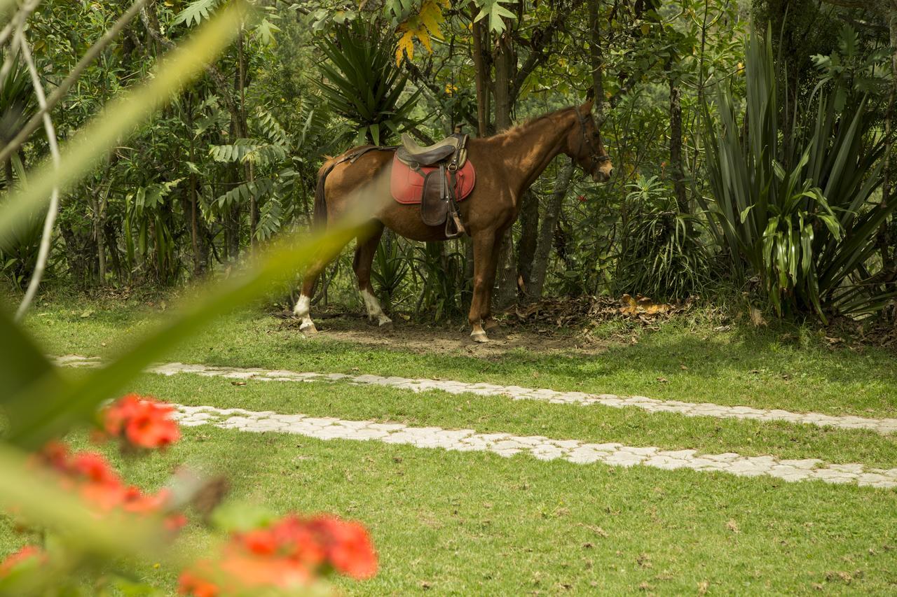 Estancia De La Campina Ноно Экстерьер фото